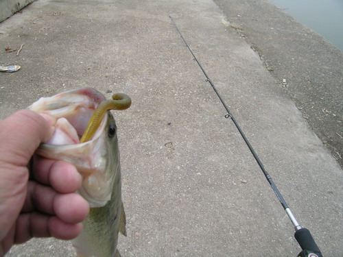 DSCN3647.jpg