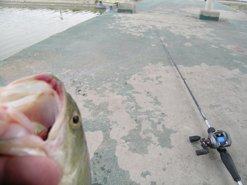 DSCN3651.jpg
