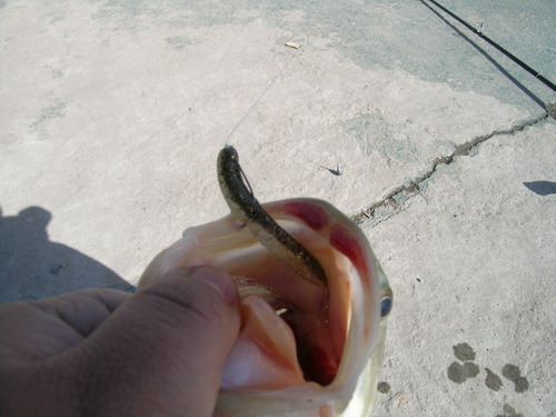 DSCN3681.jpg