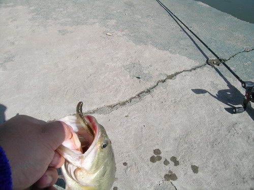 DSCN3680.jpg