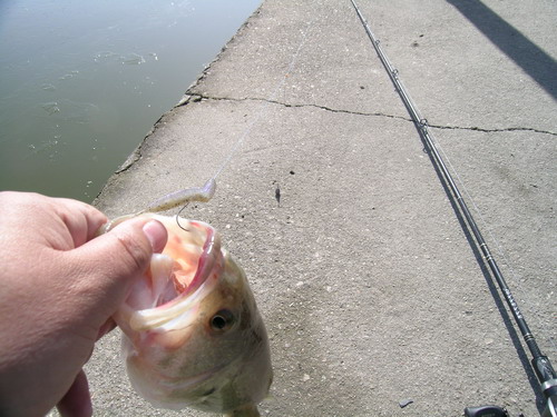 DSCN3702.jpg