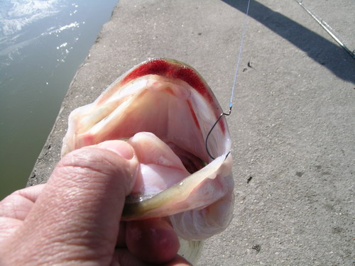 DSCN3720.jpg
