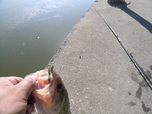DSCN3726.jpg
