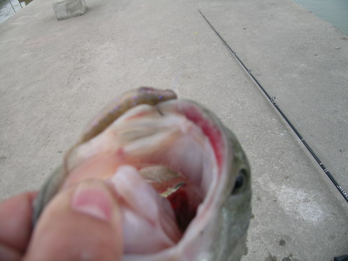 DSCN3744.jpg