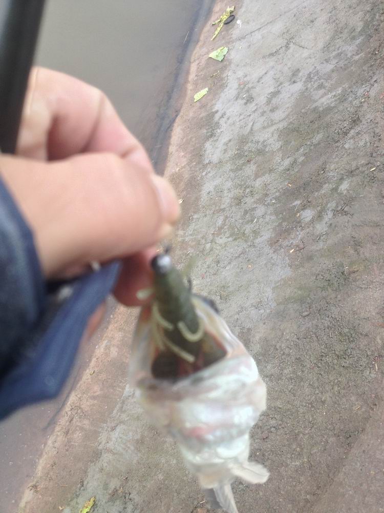 С 076.JPG