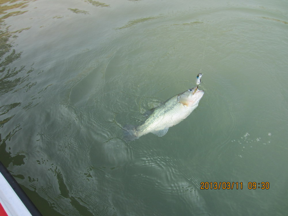IMG_2560.JPG
