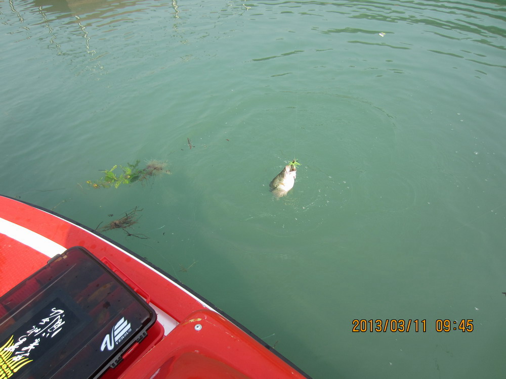 IMG_2576.JPG