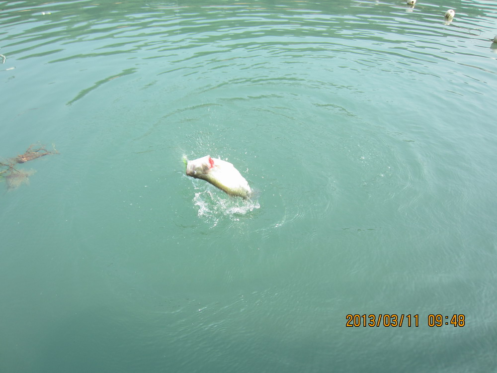 IMG_2592.JPG