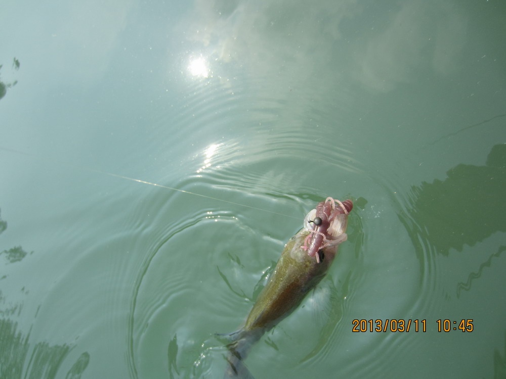 IMG_2623.JPG
