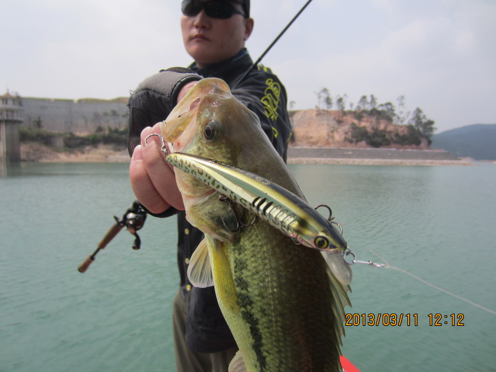 IMG_2637.JPG