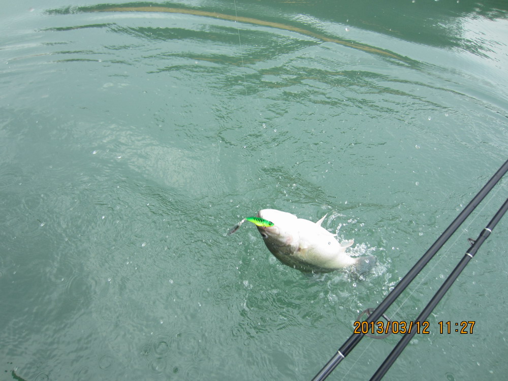IMG_2730.JPG