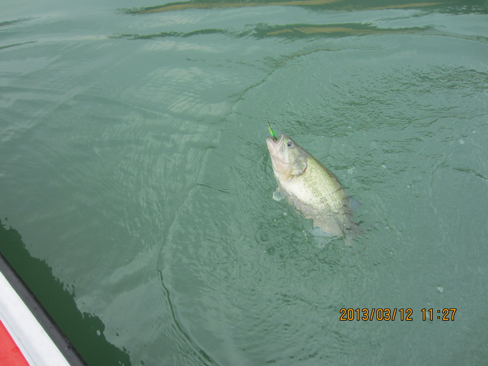 IMG_2731.JPG