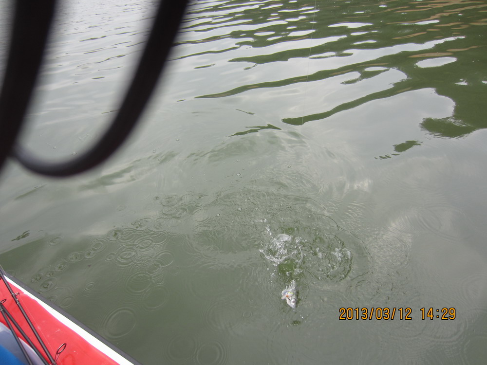 IMG_2793.JPG