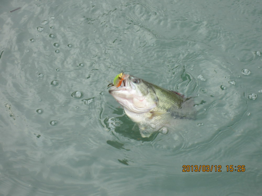 IMG_2837.JPG