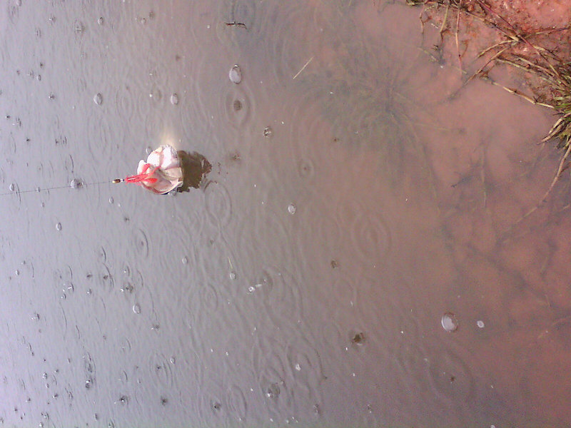IMG0050A.jpg