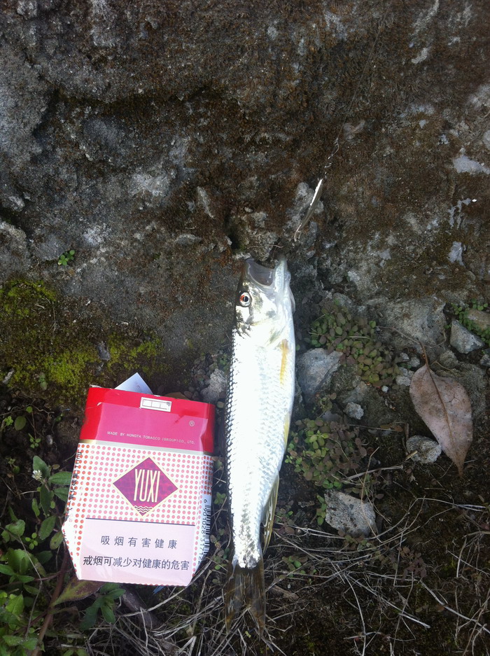 IMG_0140.jpg