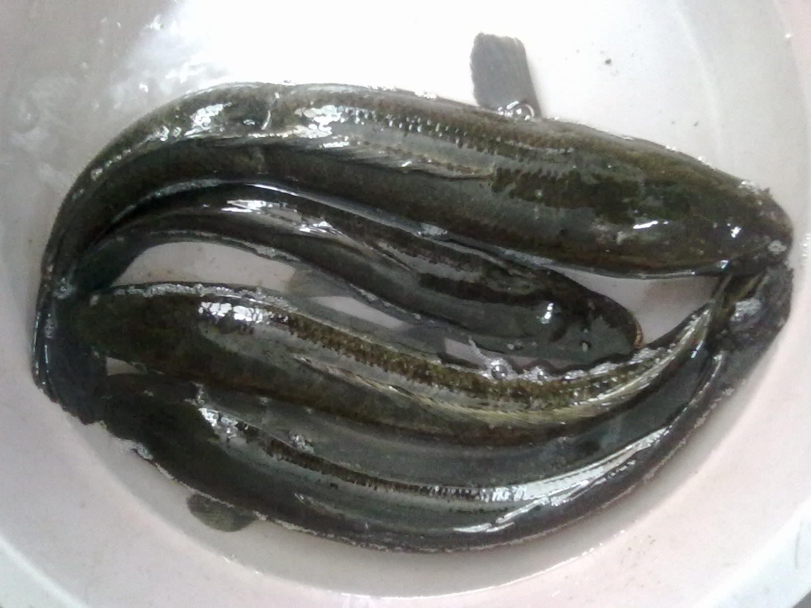 20121013132.jpg