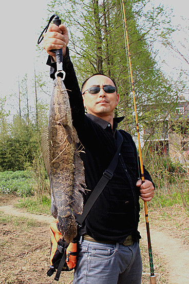 к50.jpg