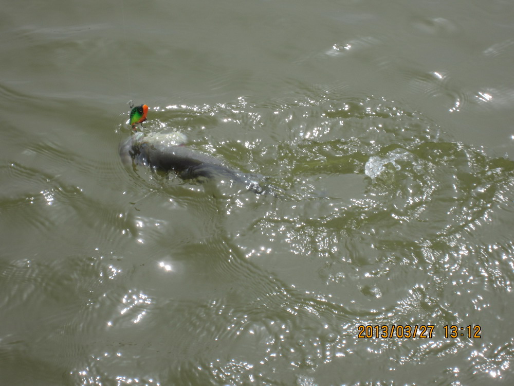 IMG_2961.JPG