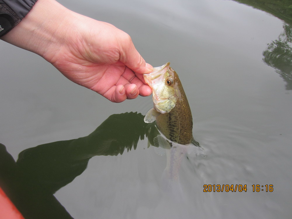 IMG_3395.JPG