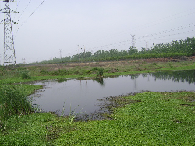 DSC04309.JPG