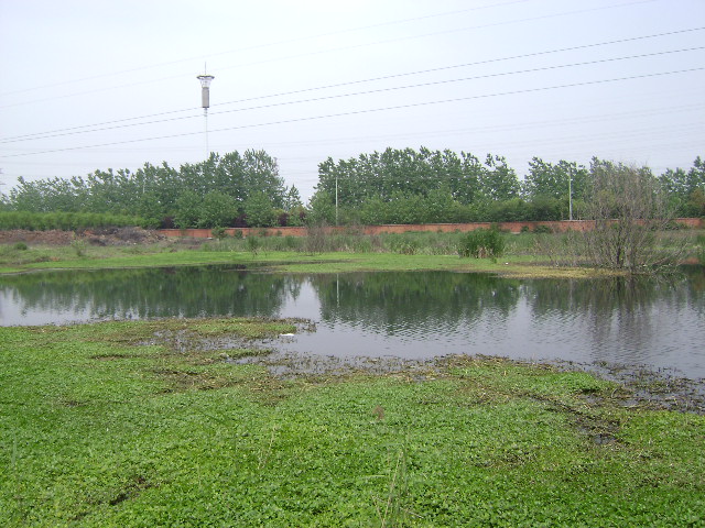 DSC04310.JPG
