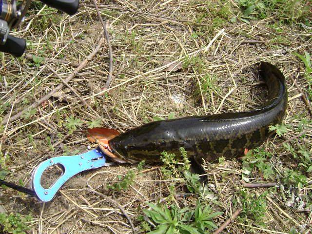 DSC04312.JPG