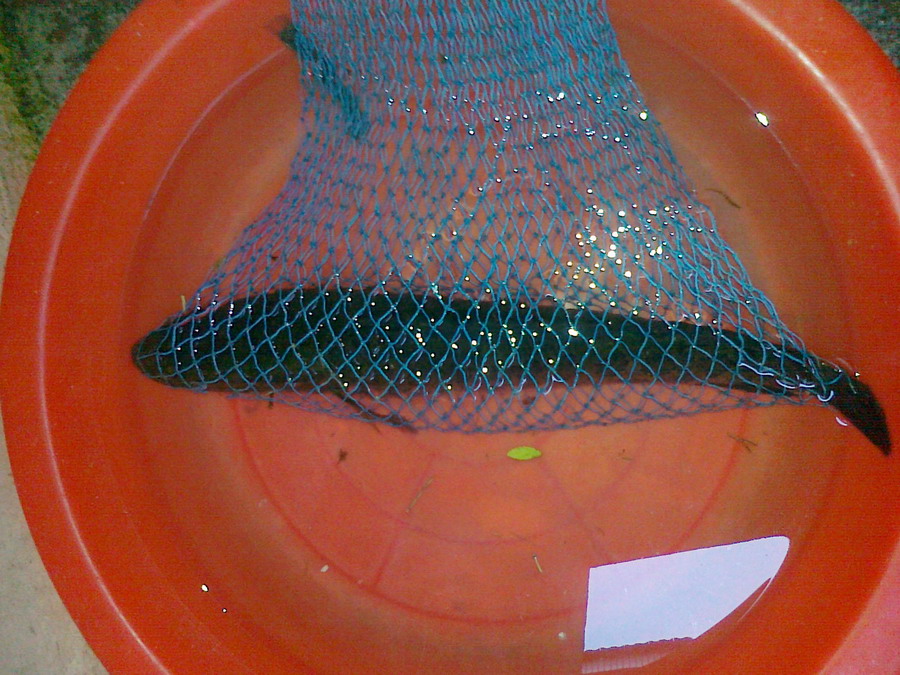 20130429173.jpg