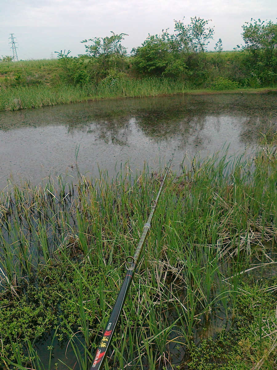 20130430175.jpg