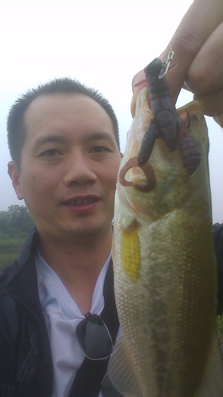 IMAG1022.jpg