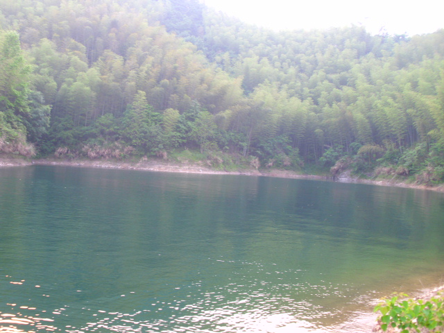 IMG_2307.JPG