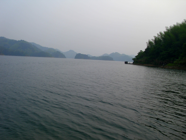 IMG_2311.JPG