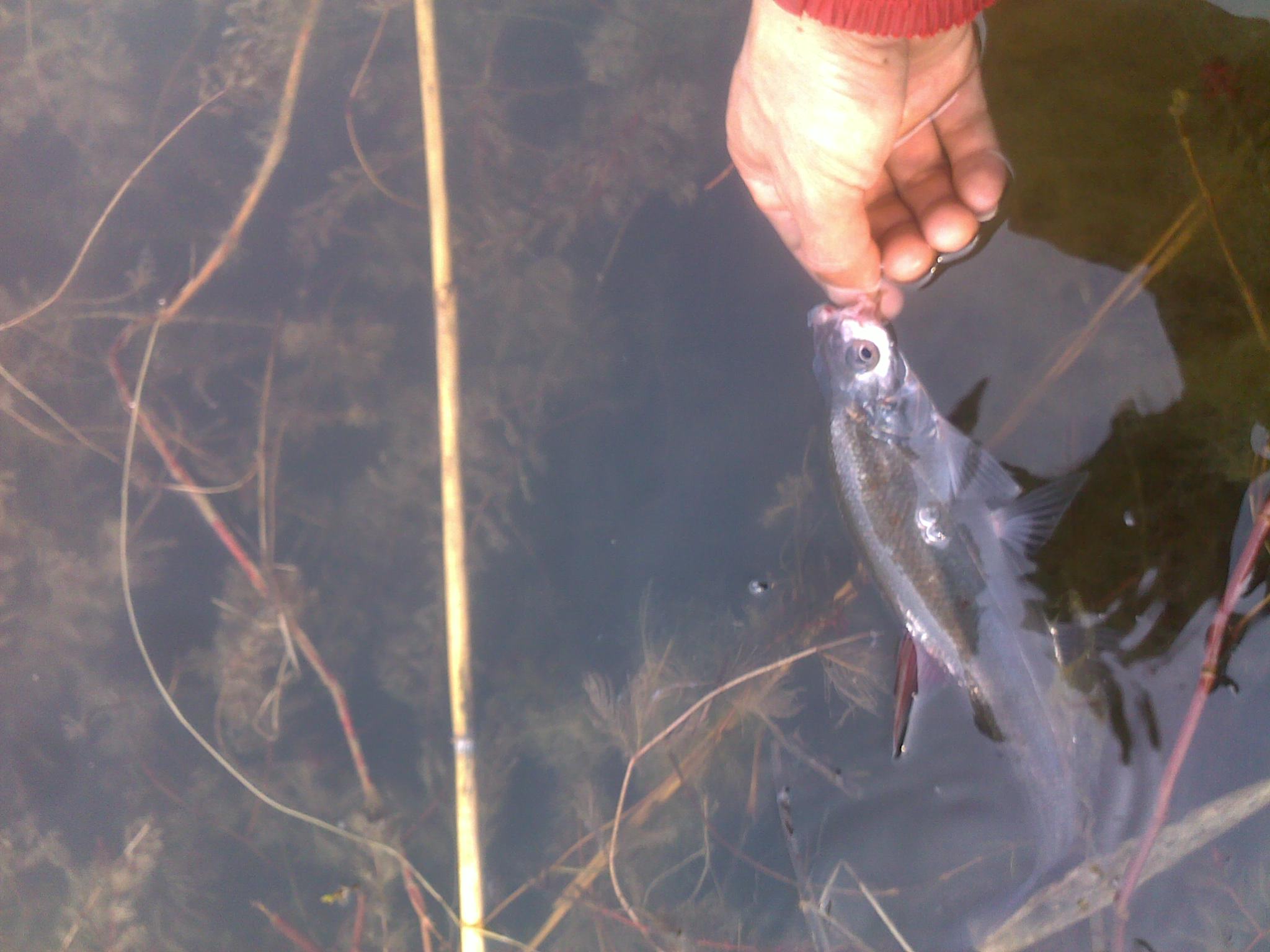 20130418059.jpg