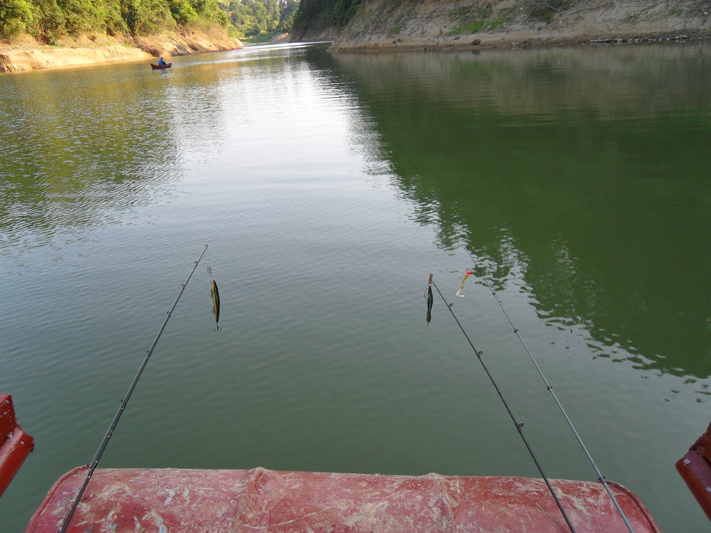 06.JPG