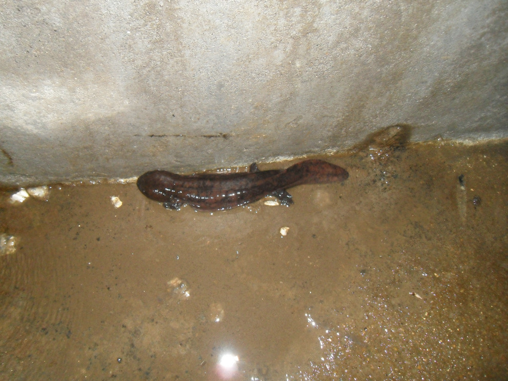 103.JPG