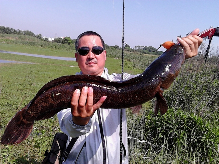 IMG_20130512_145157.jpg