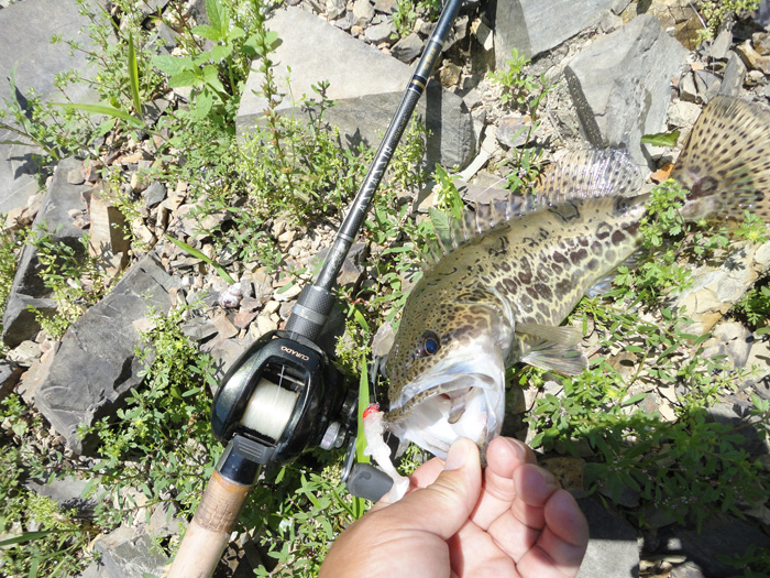 DSC07284.jpg