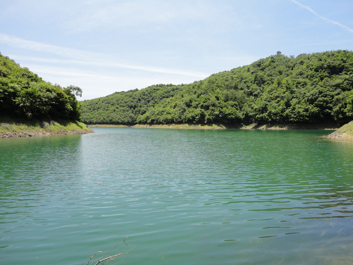 DSC07293.jpg
