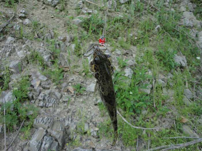 DSC07304.jpg