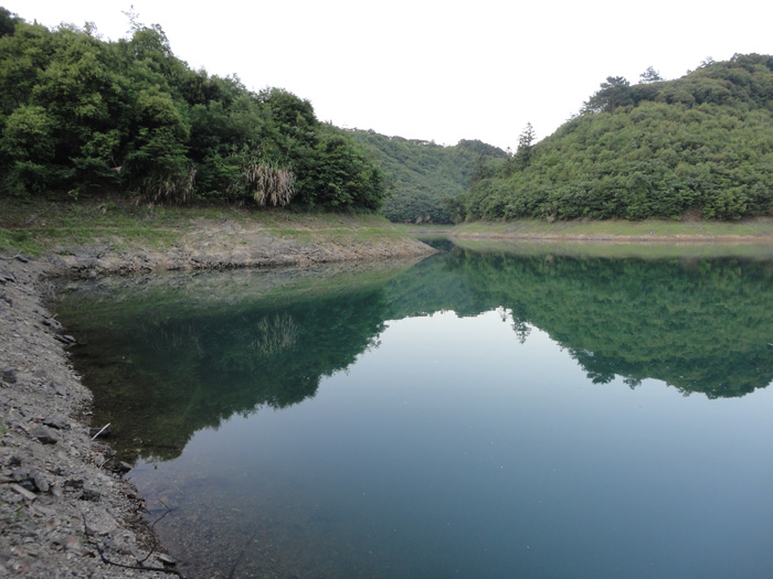 DSC07335.jpg