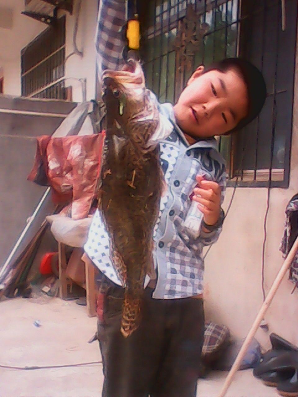 IMG_20130516_112909668.jpg