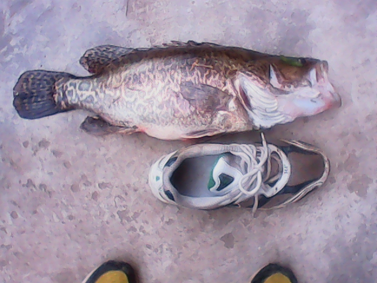 IMG_20130516_113040000.jpg