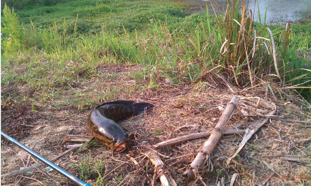 QQͼƬ20130517182123.jpg