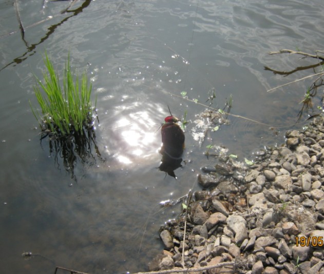 QQͼ20130520145259.jpg