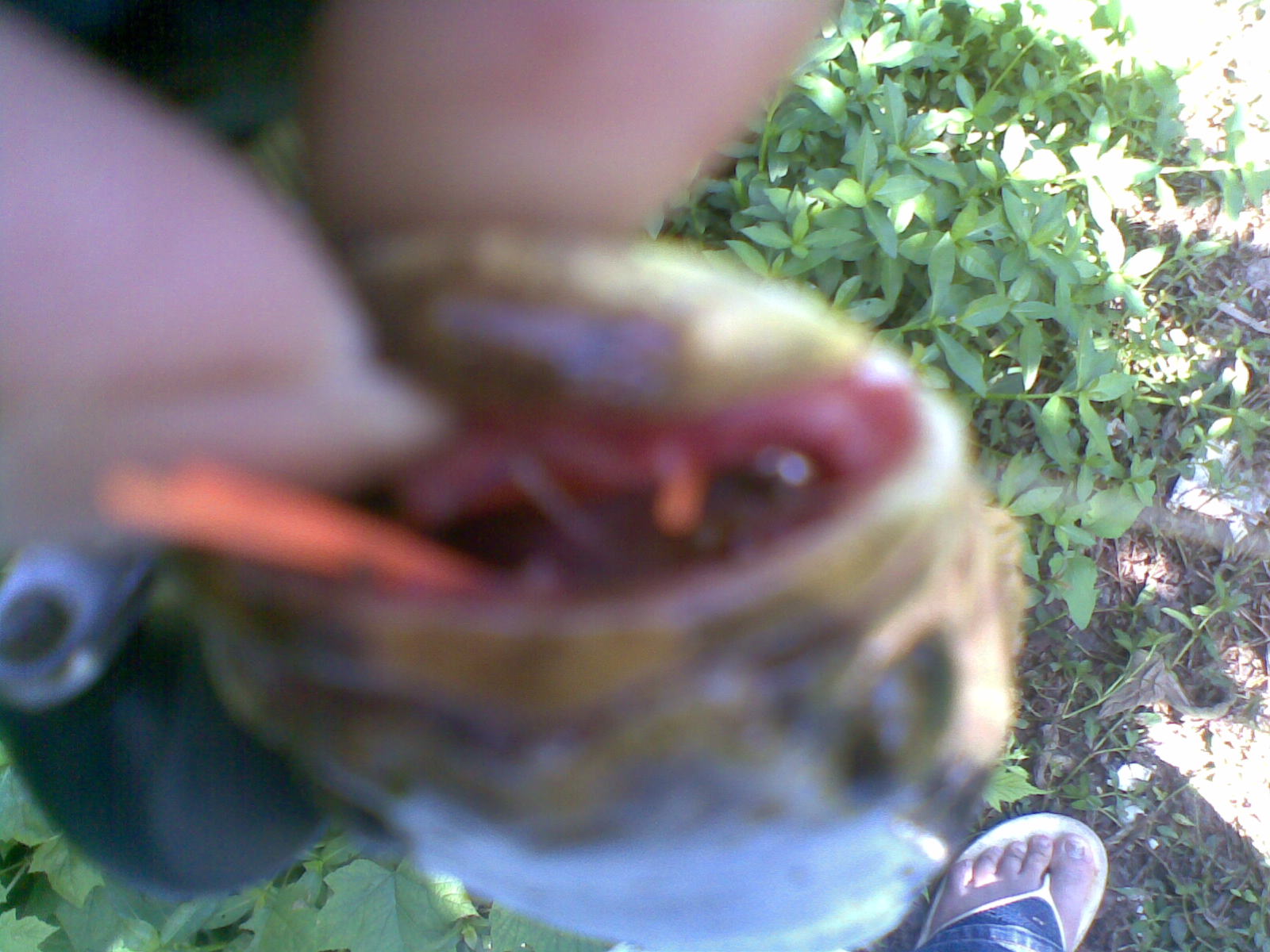 20130512.jpg