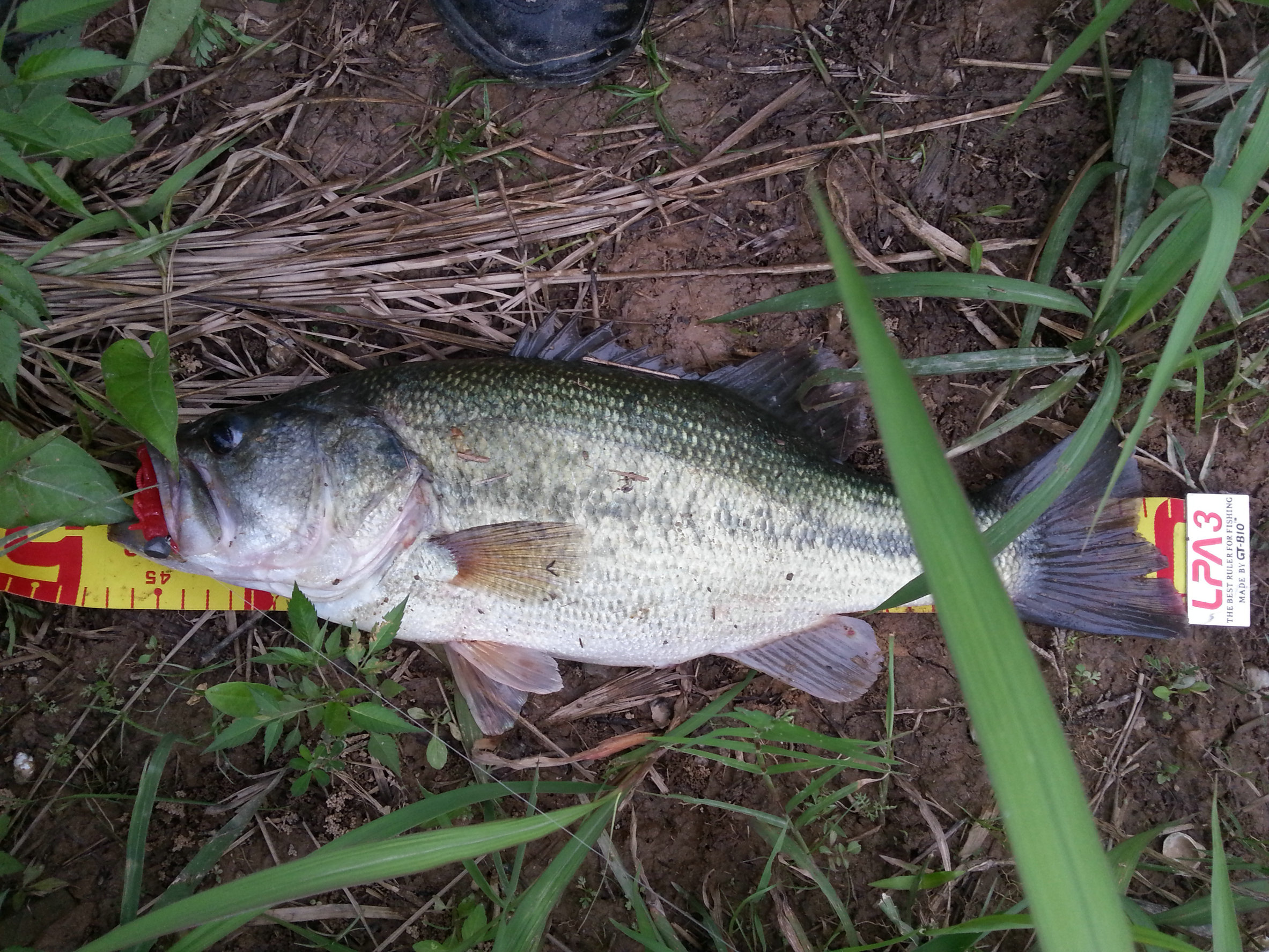 20130517_175243.jpg