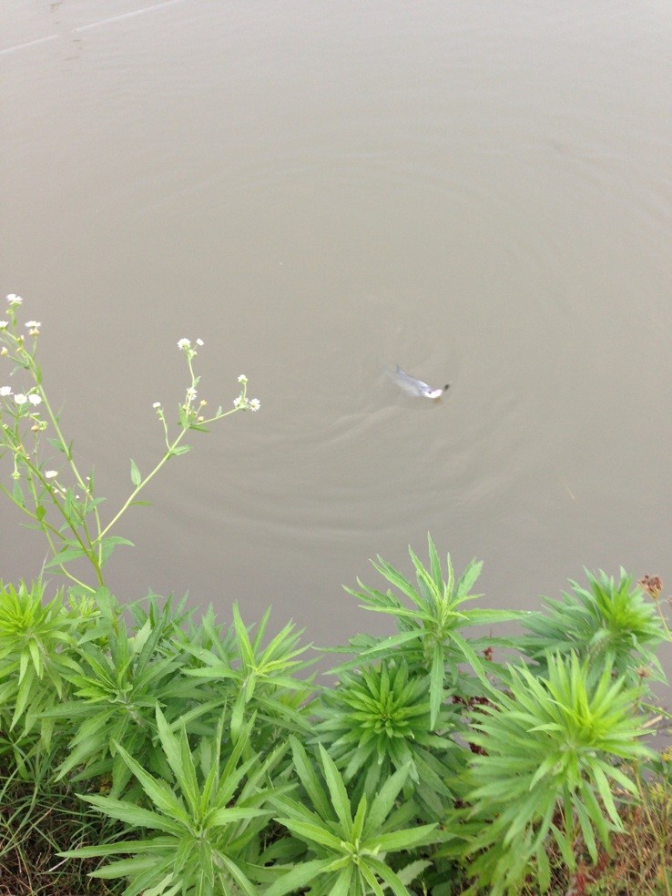 QQͼƬ20130611011245.jpg
