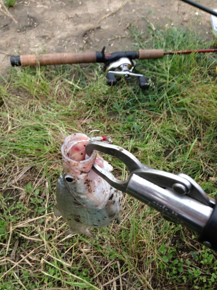 QQͼƬ20130611011318.jpg
