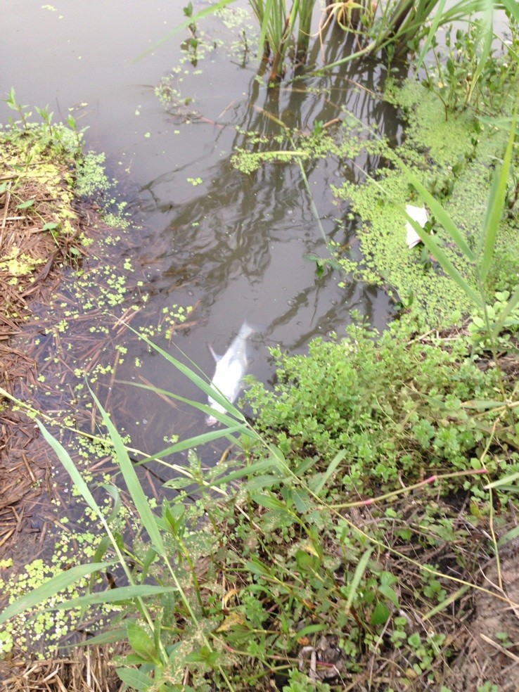 QQͼƬ20130611011336.jpg