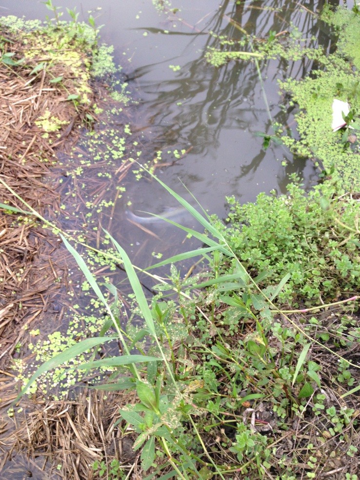 QQͼƬ20130611011346.jpg